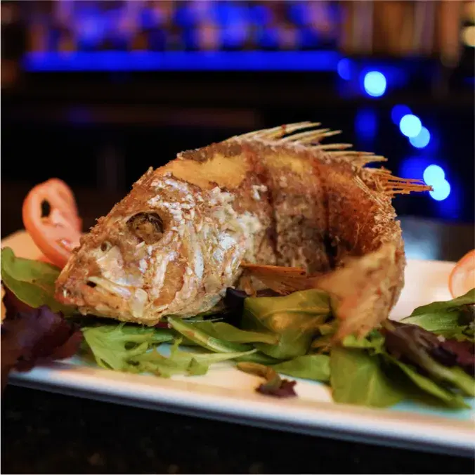 Whole Red Snapper